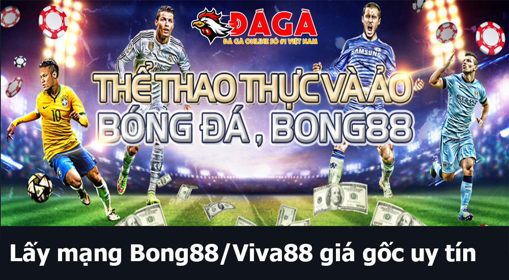 Lấy mạng Bong88 Viva88 giá gốc uy tín