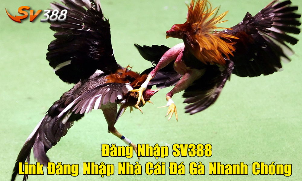 Link đăng nhập vào Sv388 mới nhất