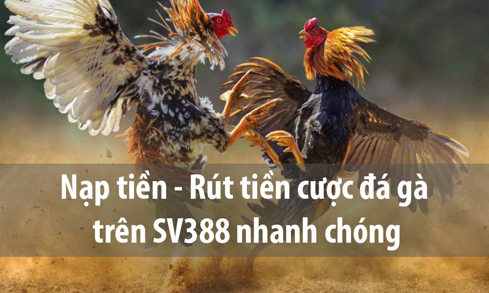 Nạp rút tiền Sv388